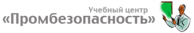 Логотип компании Промбезопасность ЧОУ ДПО