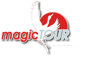 Логотип компании Мейджик-тур